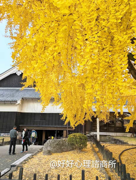 【情緒是改變的開始】1月好好好文 by 鄭楦縈心理師