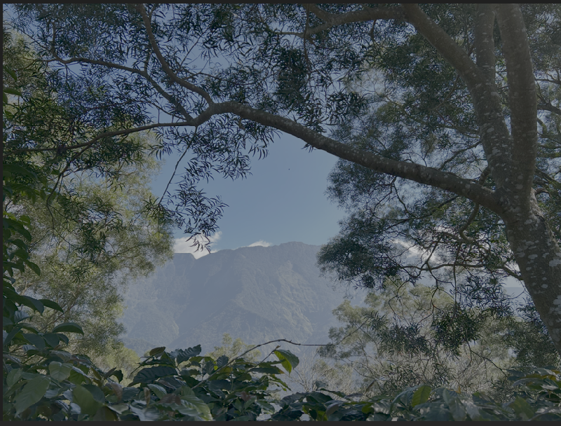 12月好好好文【傾聽身體的記憶】
