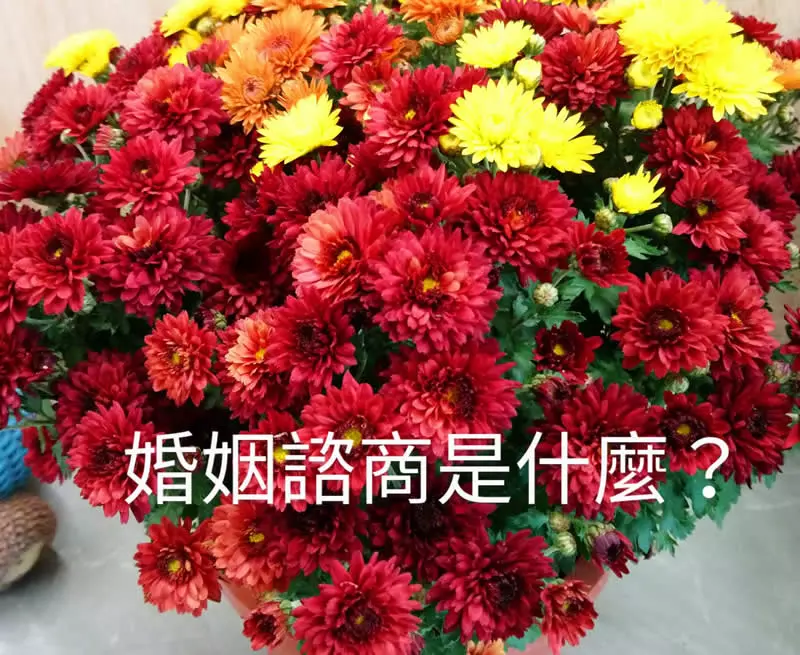 婚姻諮商可以挽救我們的婚姻嗎